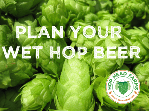 Wet Hop Beer