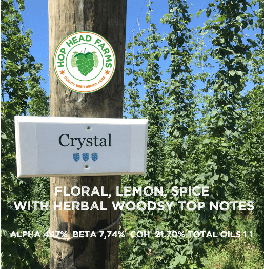Crystal Post Hops