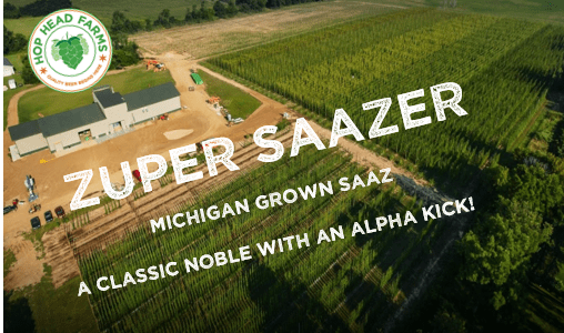 Zuper Saazer Hops