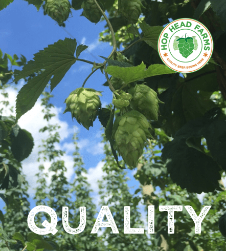 Quality Hop Head Farms