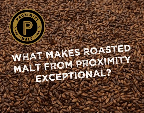 roasted malt