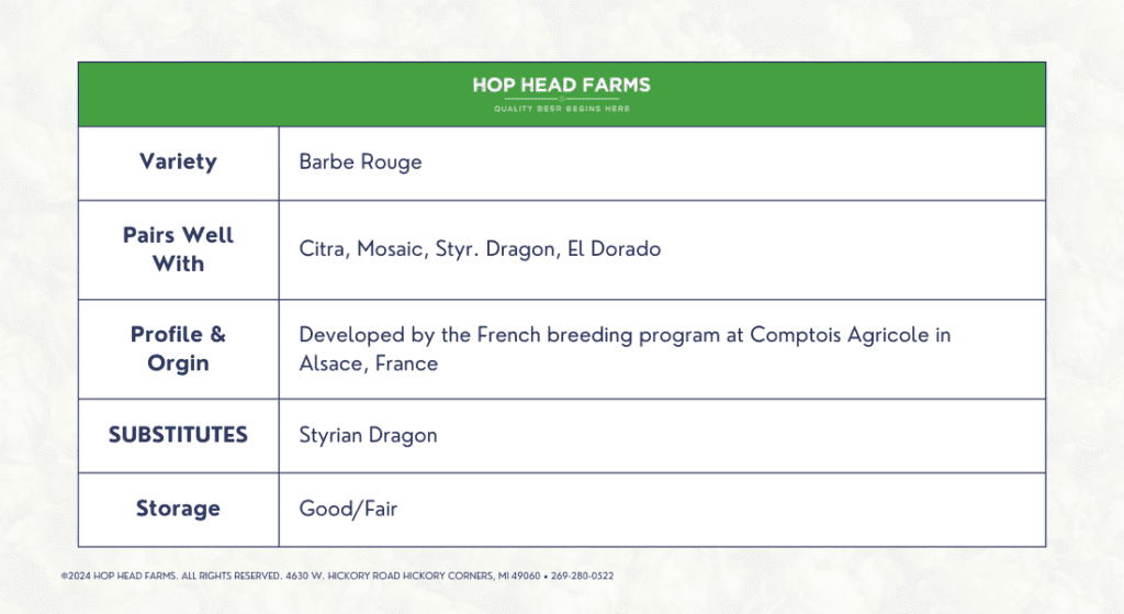 A chart titled "Hop Head Farms" detailing various attributes for Barbe Rouge hops, including pairings (Citra, Mosaic, Styr. Dragon, El Dorado), profile and origin (France), substitutes (Styrian Dragon), and storage (Good/Fair).